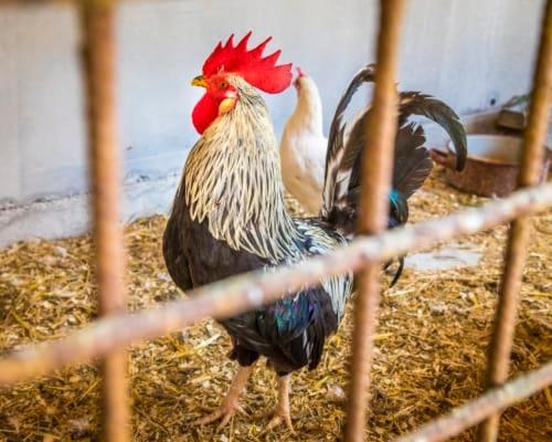 Unterwoehrlehen Apartman Faistenau Kültér fotó