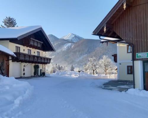 Unterwoehrlehen Apartman Faistenau Kültér fotó